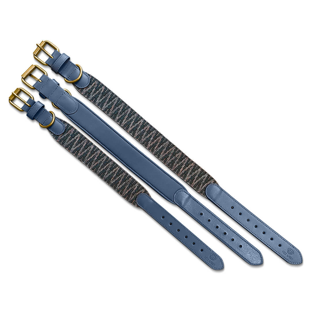 Sparset: Halsband & Leine in Blau/Grau