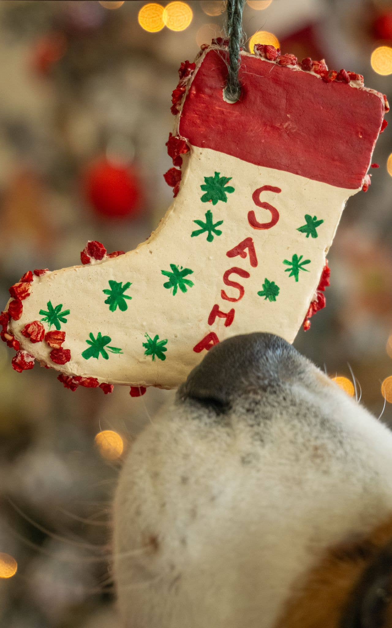 Essbare Weihnachtsbaumanhänger - Weihnachtsgeschenkbox