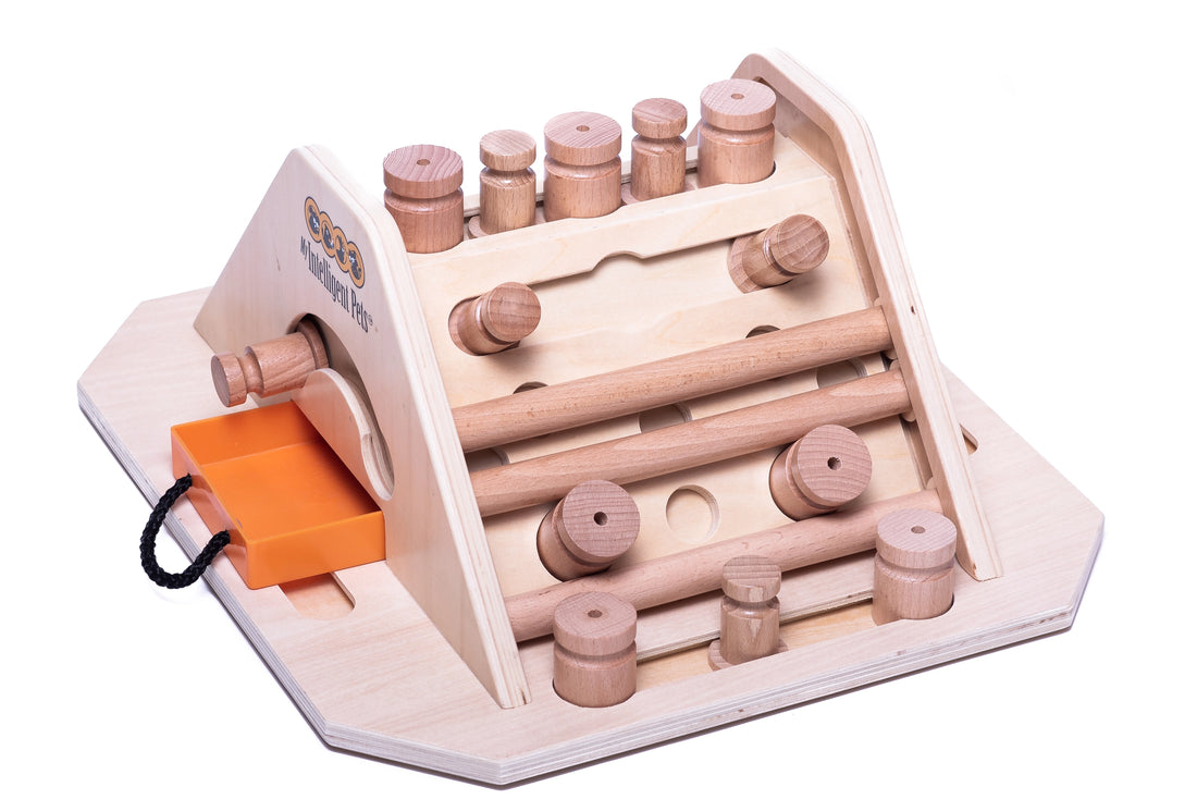 Pyramide – Intelligenzspiel für Hunde | Anspruchsvoll