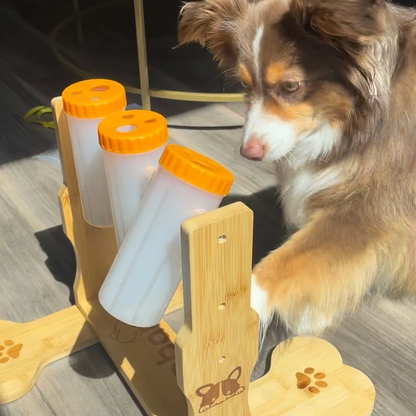 Snacklab Leckerli-Spender – Intelligenzspiel für Hunde