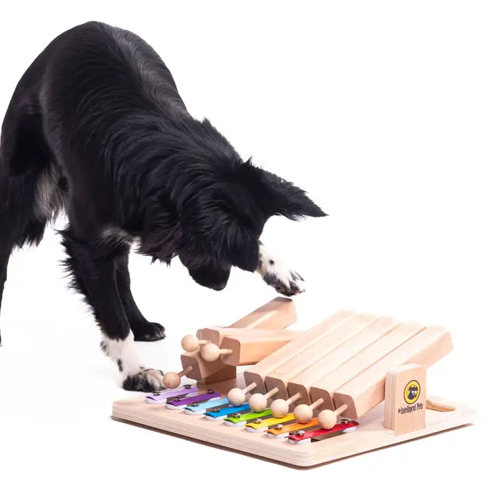 Laden Sie das Video: 