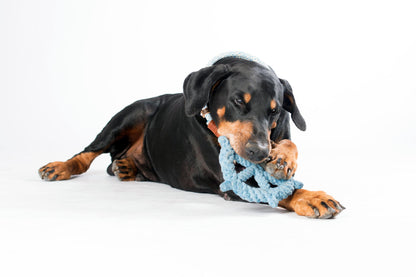 Skipper - Kult-Spielzeug für Hunde
