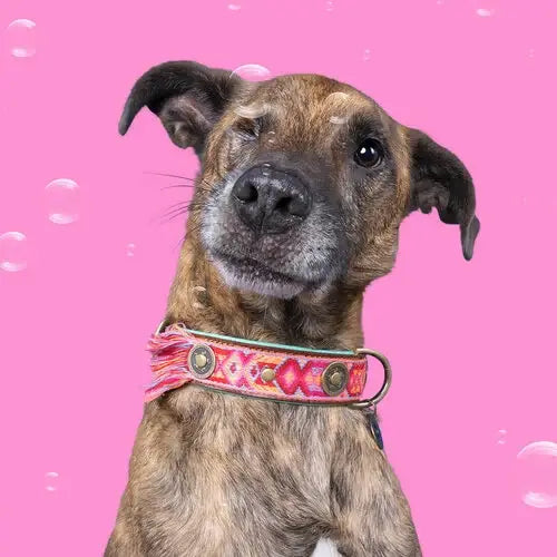 Boho Rosa Hundehalsband aus Leder – Einzigartig &amp; Handgefertigt