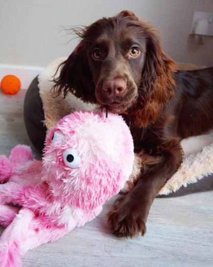 Oktopus Plüschtier – Kuscheln, Zerren &amp; Apportieren