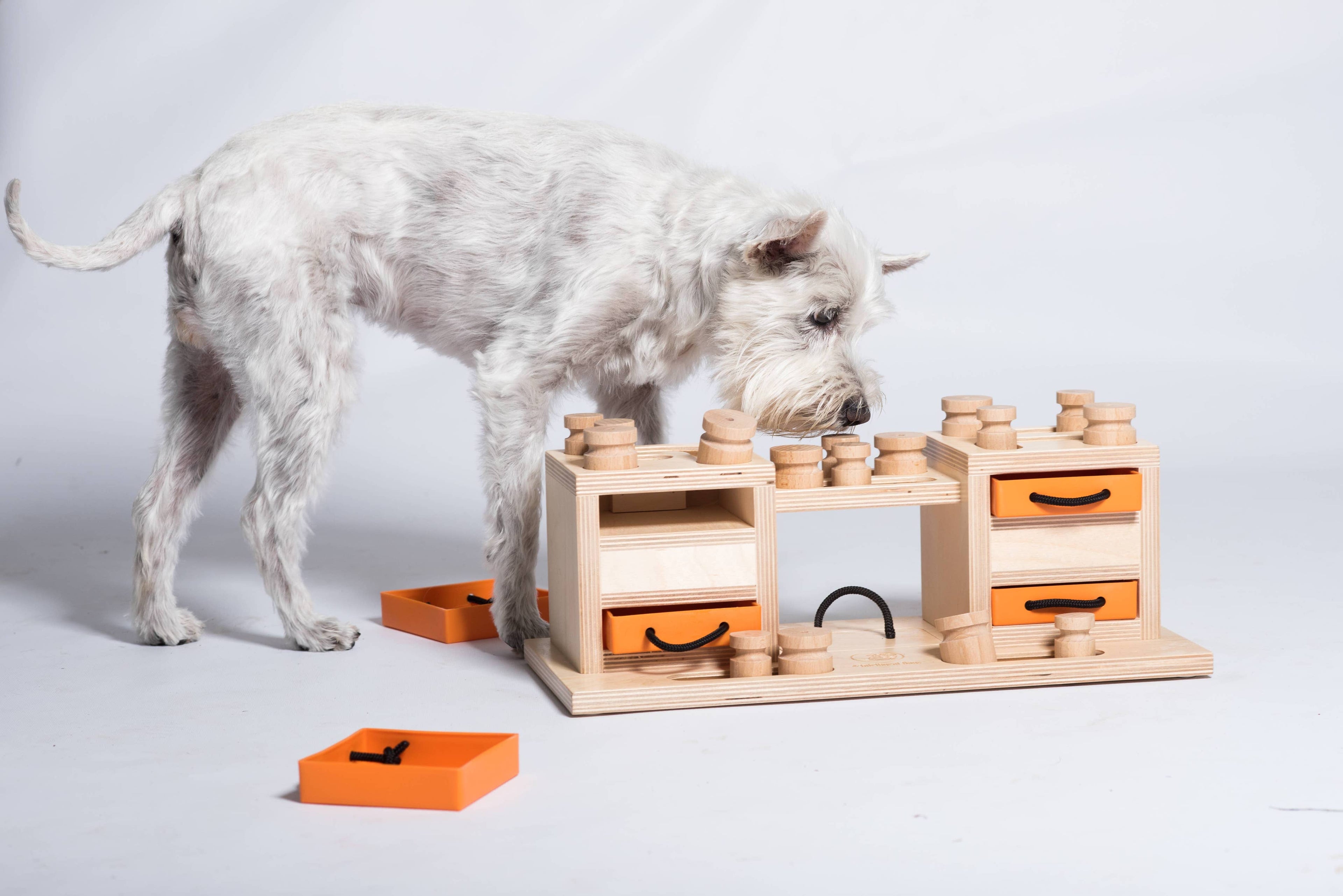 Two Towers - intelligentes Hundespielzeug