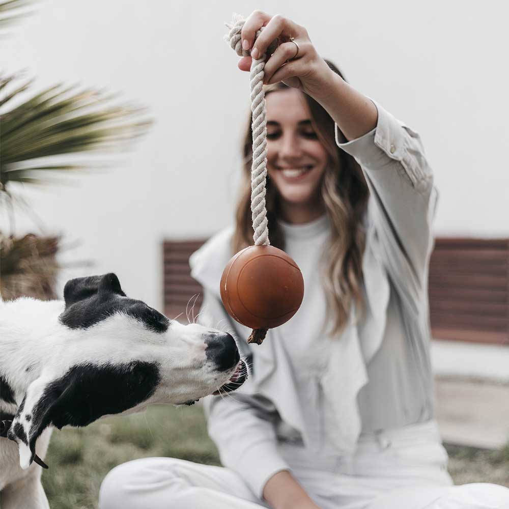 Rub Ball Rope Hundespielzeug, Größe XL