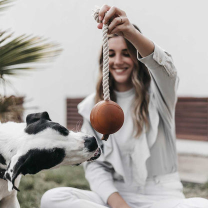 Rub Ball Rope Hundespielzeug, Größe XL