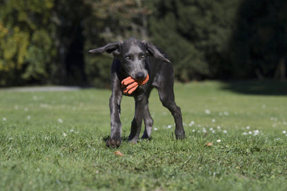 Thaddäus Tintenfisch – Handgeknüpftes Hundespielzeug aus Baumwolle