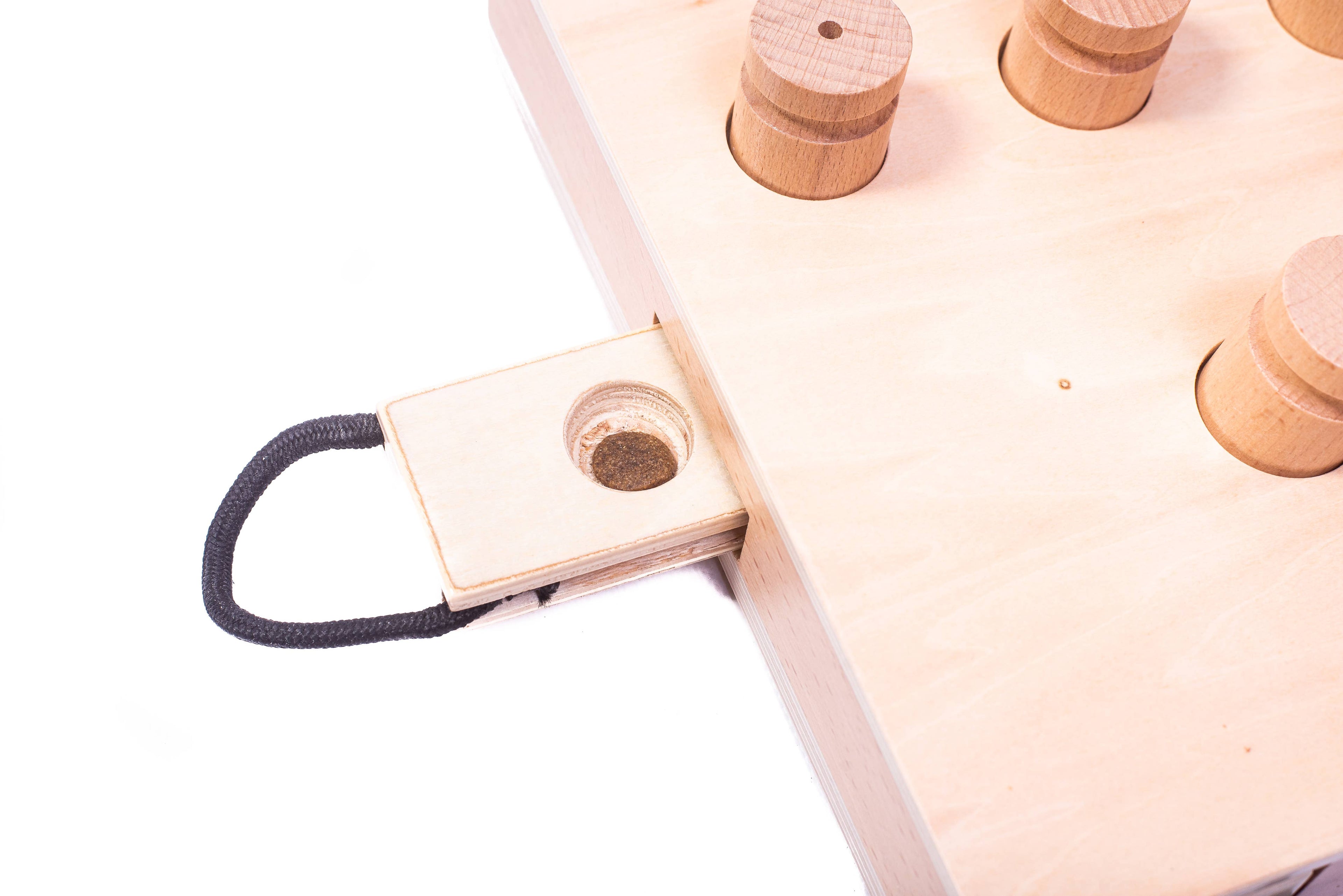 iPet – Smart Dog Intelligenzspielzeug