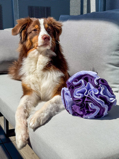 Schnüffelball für Hunde, Snackspielzeug Hund, Hundespielzeug