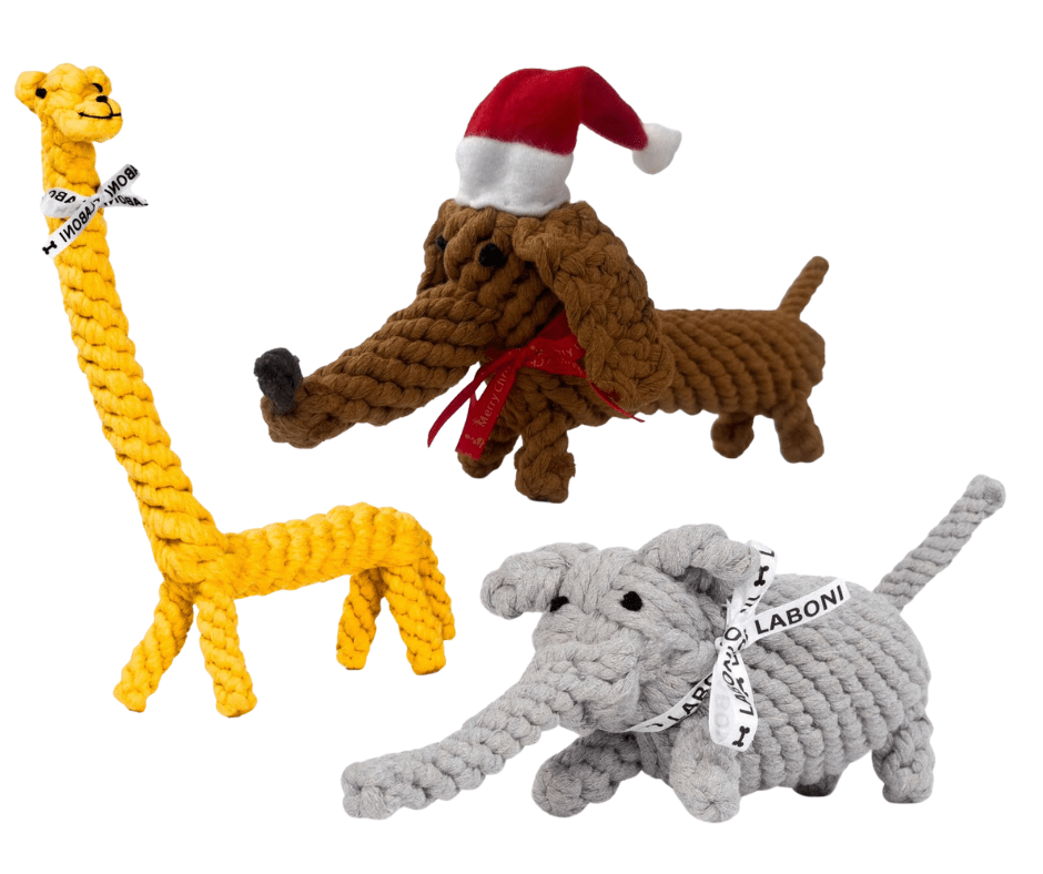 3 Bestseller im Set zum Vorteilspreis - Pfotenlieblinge