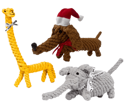 3 Bestseller im Set zum Vorteilspreis - Pfotenlieblinge