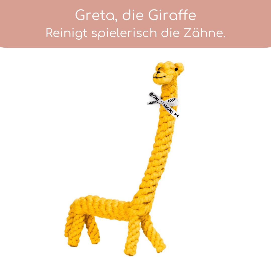 3 Bestseller im Set zum Vorteilspreis - Pfotenlieblinge