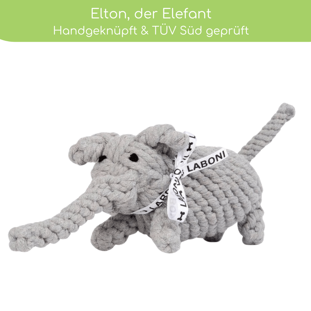 3 Bestseller im Set zum Vorteilspreis - Pfotenlieblinge