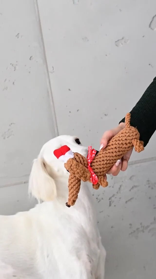 3 Bestseller im Set zum Vorteilspreis - Pfotenlieblinge