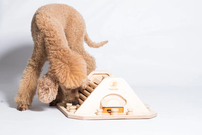 Pyramide – Intelligenzspiel für Hunde | Anspruchsvoll