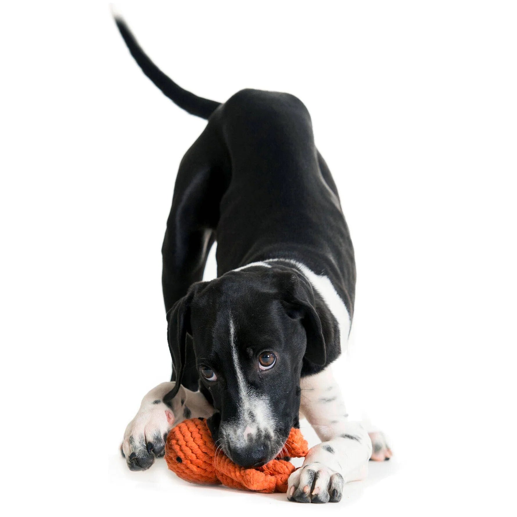 3 Bestseller im Set zum Vorteilspreis