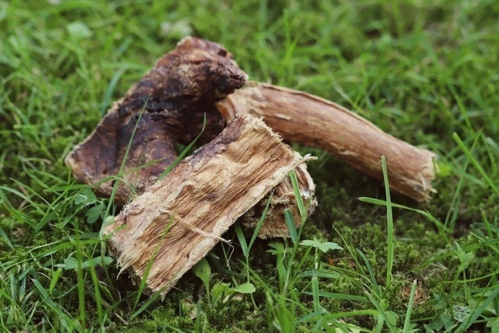 Rinderlunge für Hunde – Fettarmer, natürlicher Trainingssnack