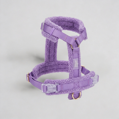 Hundegeschirr-Set Teddy Violett inkl. Leine