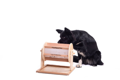 Glücksrad - Haustierspielzeug des Jahres - Leckerli-Spender