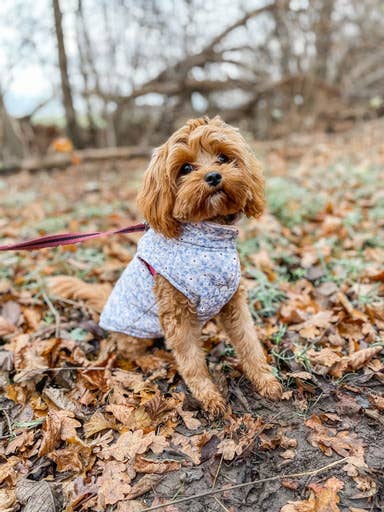 Teddyweste - Winter Bloom - Wendbar