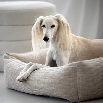 CLASSIC Hundebett - NOVA CREME