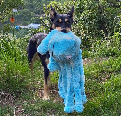 Oktopus Plüschtier – Kuscheln, Zerren &amp; Apportieren