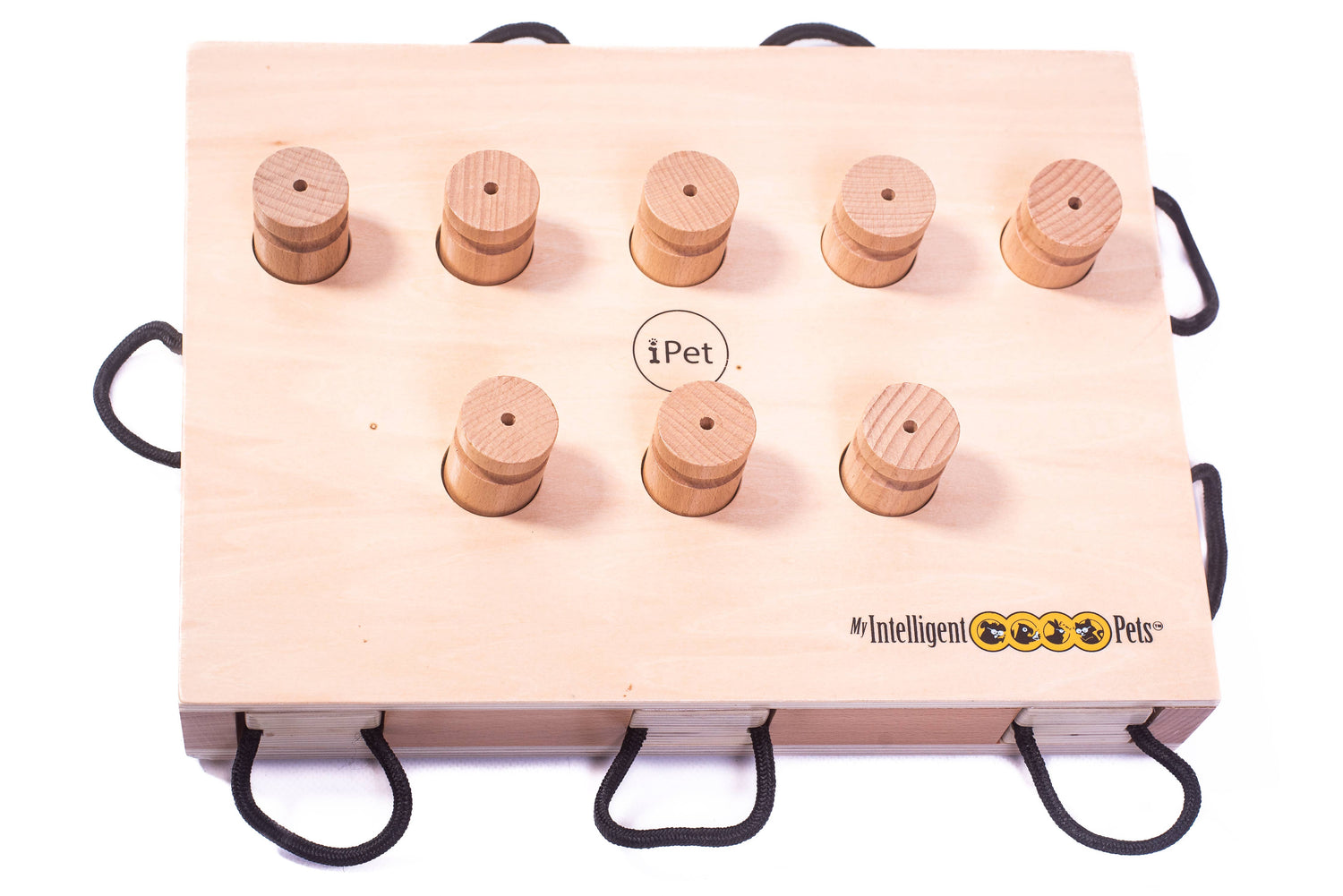 iPet – Smart Dog Intelligenzspielzeug