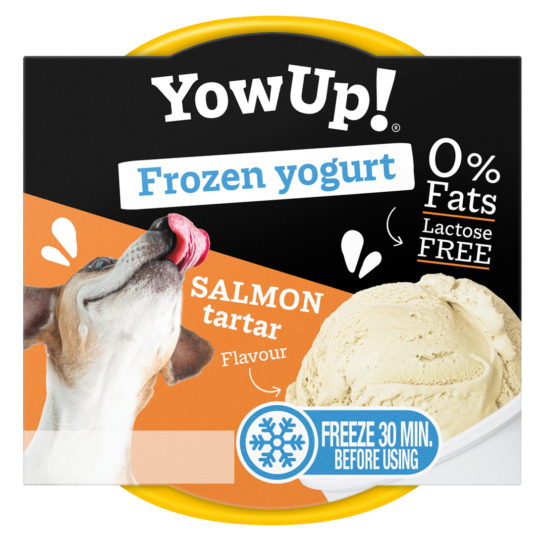 YowUp! Gefrorener Joghurt Lachs Tartar