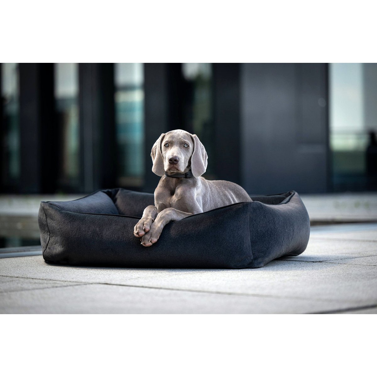 LABONI CLASSIC Hundebett – BUFFALO