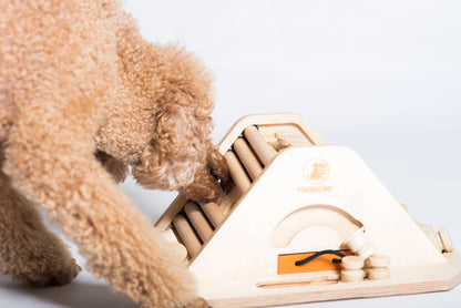 Pyramide – Intelligenzspiel für Hunde | Anspruchsvoll