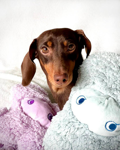 Antistress-Plüschtier mit ätherischen Ölen - Nocetto