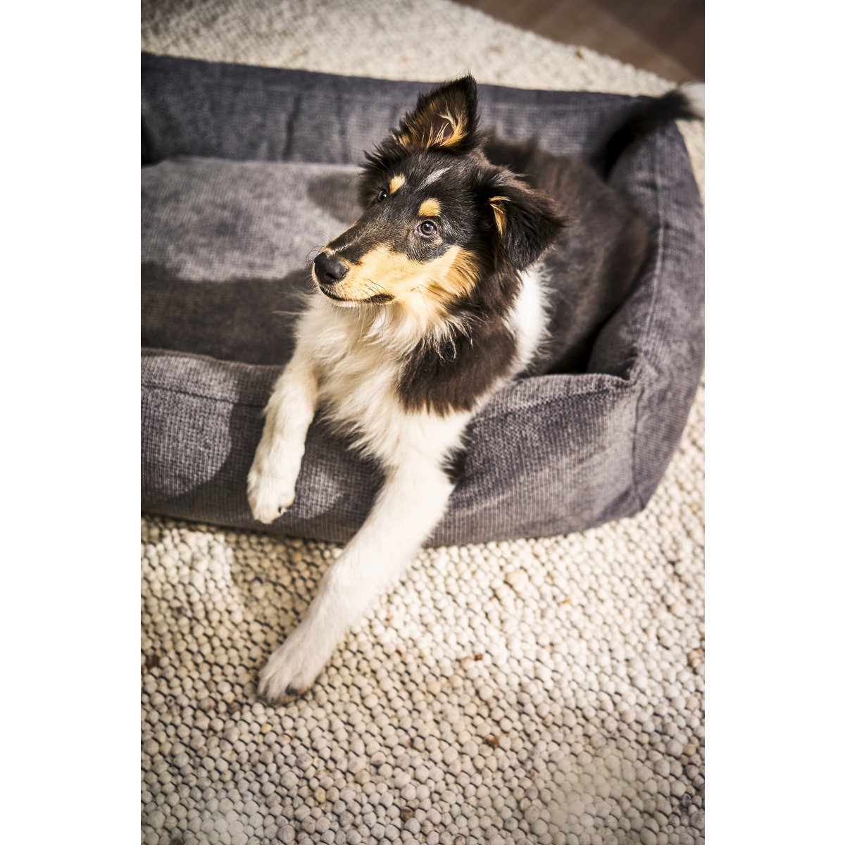 CLASSIC Hundebett - TUDOR ANTHRAZIT