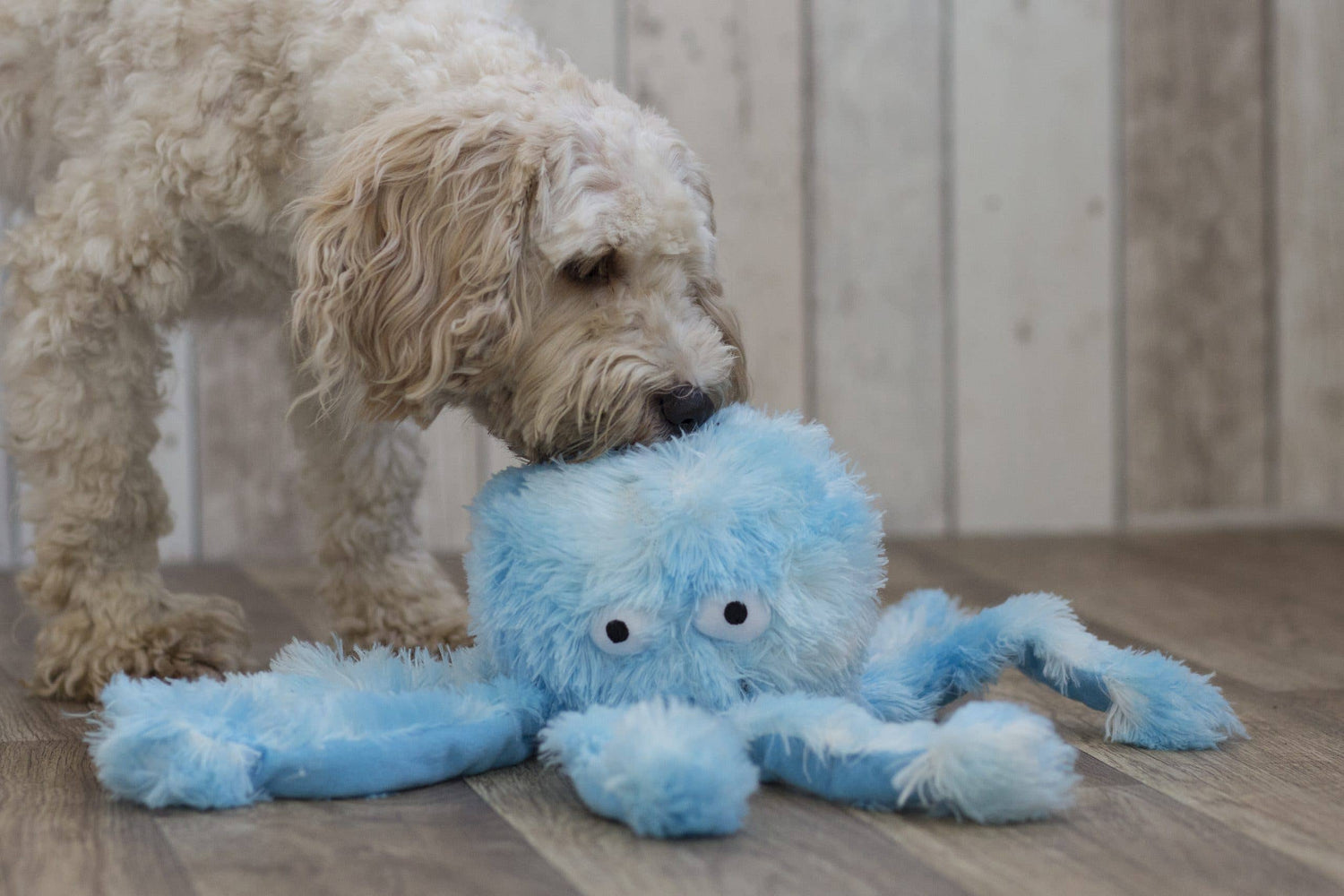Oktopus Plüschtier – Kuscheln, Zerren &amp; Apportieren