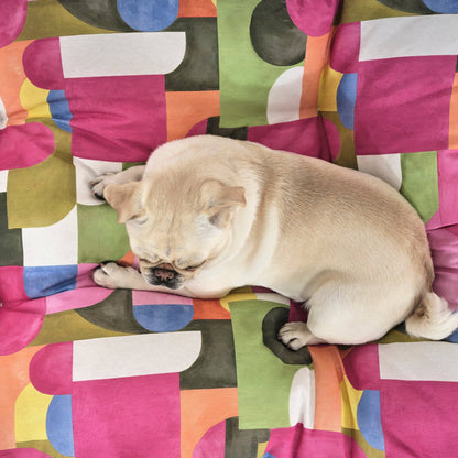 Anti-Flecken Premium Hundebett – wasserabweisend