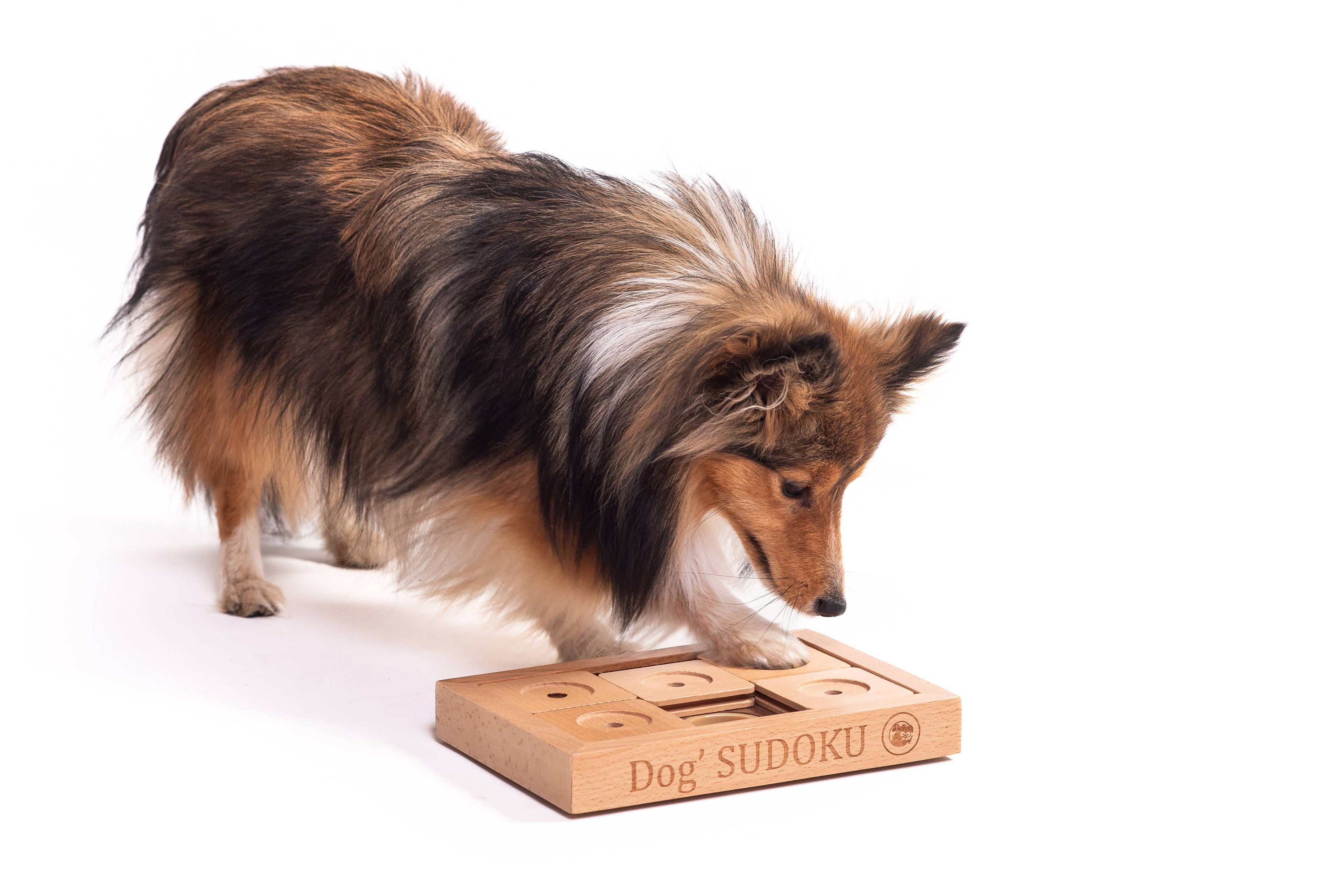 Intelligenzspielzeug-Set „SUDOKU, Piano &amp; Happy Roll“ – 3 Level für schlaue Hunde