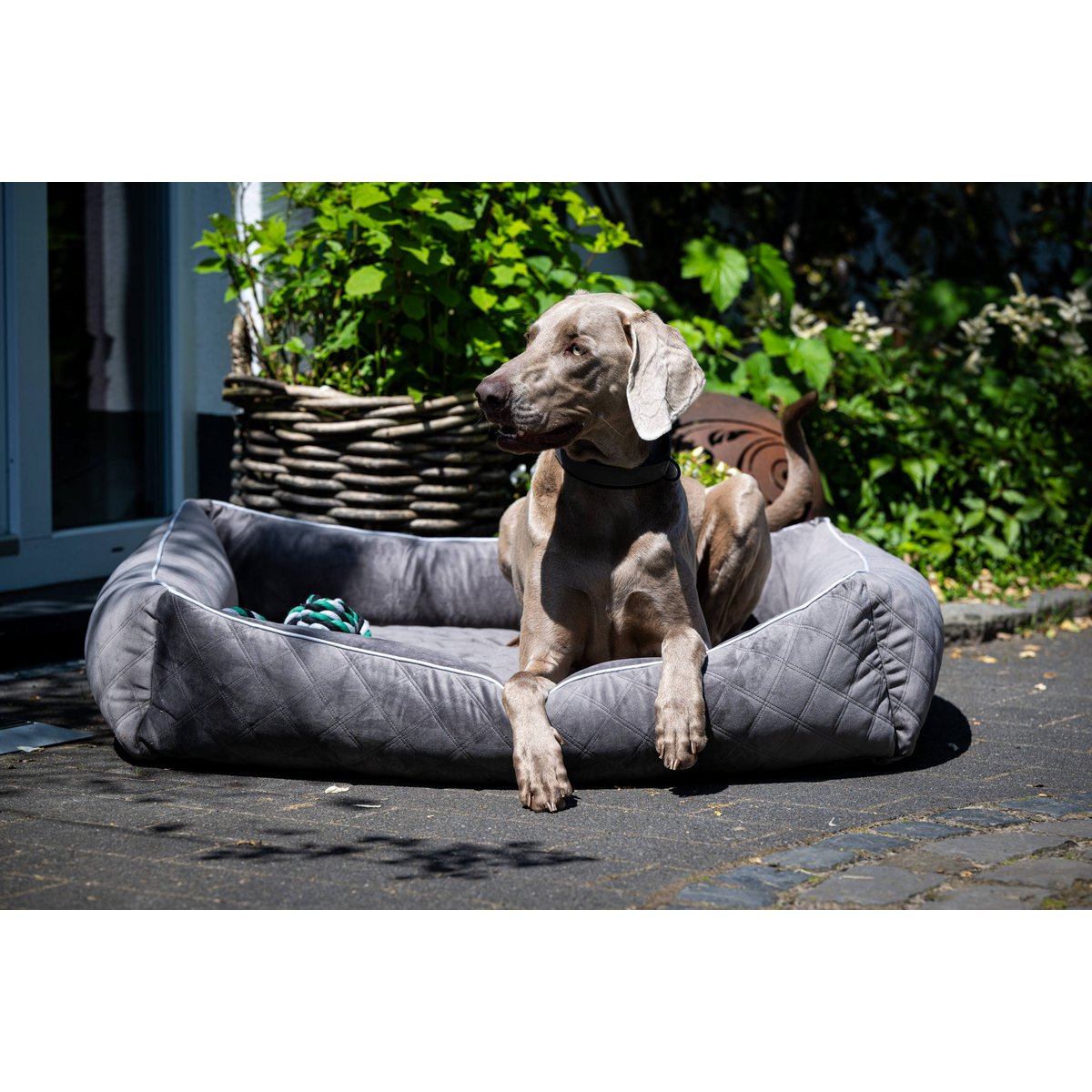 CLASSIC Hundebett - OXFORD STONE