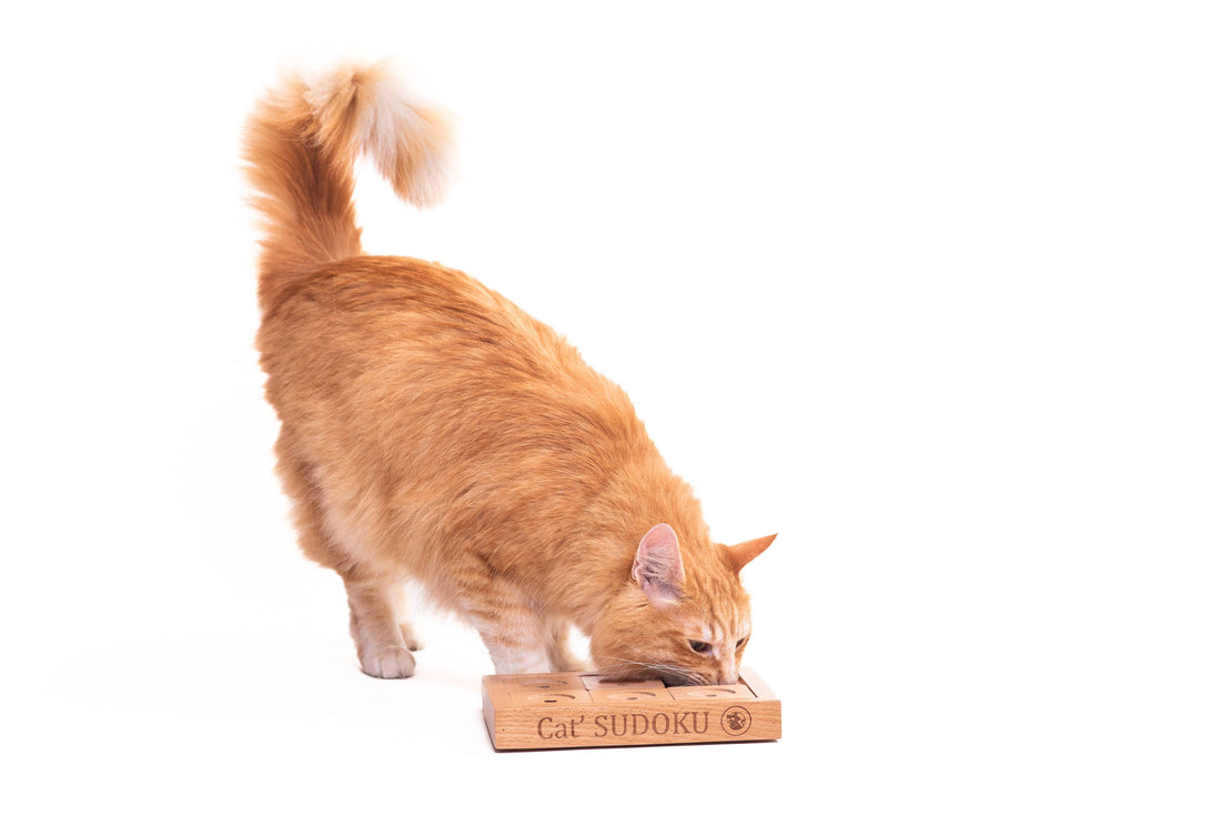 SUDOKU Small Advanced - Hunde- und Katzenpuzzle