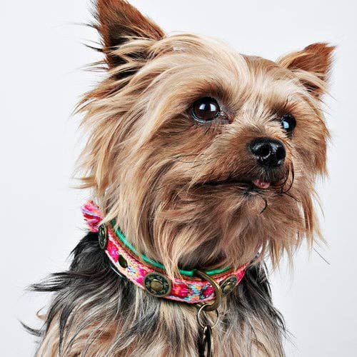 Boho Rosa Hundehalsband aus Leder – Einzigartig &amp; Handgefertigt