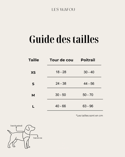 Hundegeschirr Blau gepolstert &amp; verstellbar