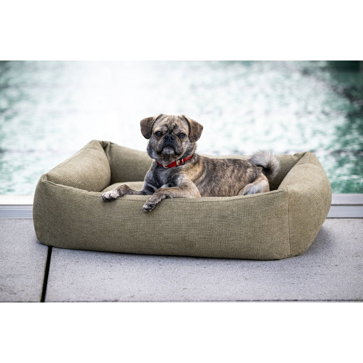 CLASSIC Hundebett - TUDOR OLIVE