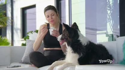 YowUp! L. Casei Immunsystem Truthahn Hund