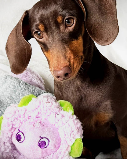 Antistress-Plüschtier mit ätherischen Ölen - Pansy
