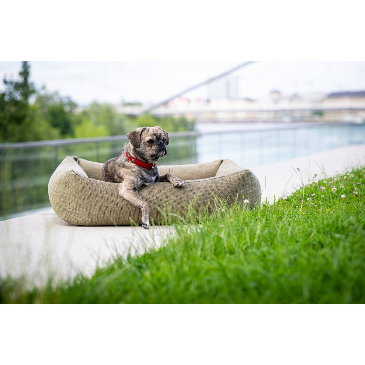 CLASSIC Hundebett - TUDOR OLIVE