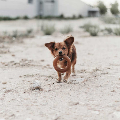 Rub Hundespielzeug aus natürlichem Bio-Harz