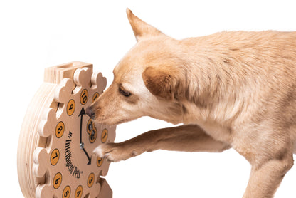 Clock - Spielzeug zur Bereicherung von Hund und Katze