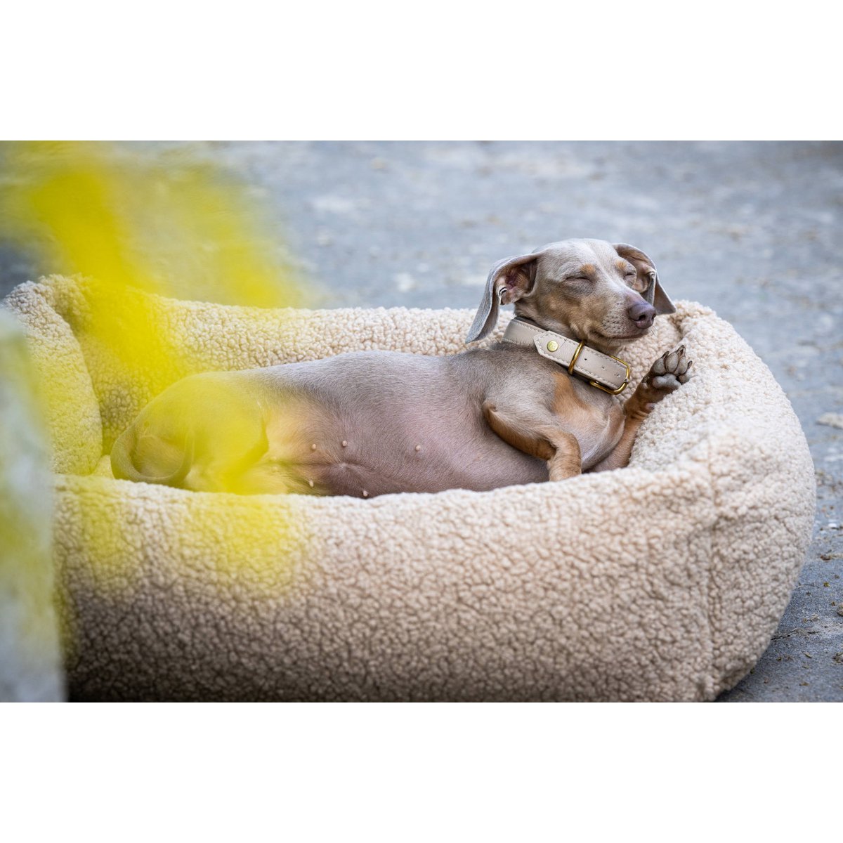 LABONI Hundebett CLASSIC – TEDDY Bouclé (kuschelig &amp; robust)