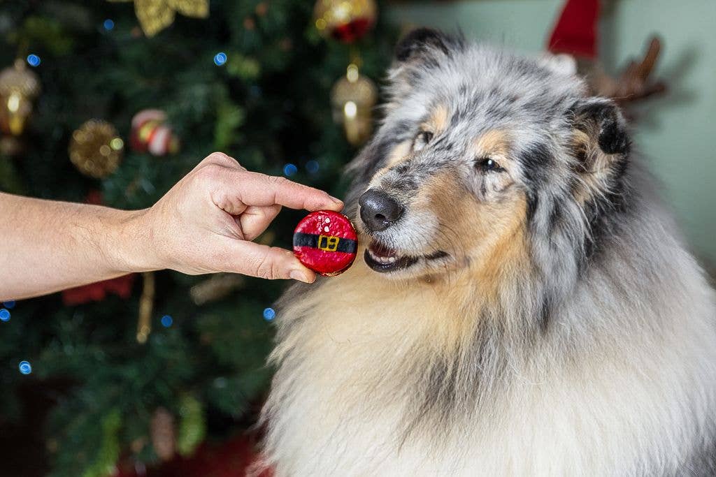 Weihnachtsmakronen "Santas Bauch" - Geschenkbox