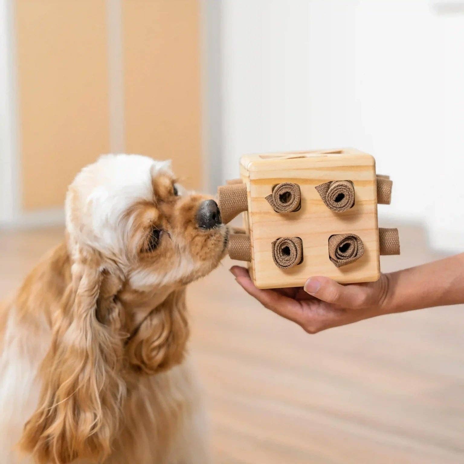 Intelligenzspiel Schnüffelwürfel – Denkspiel aus Holz für Hunde