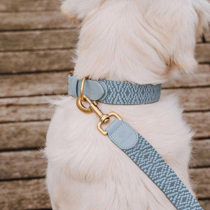 Hundehalsband – Anthrazit/Eisblau – Kollektion Très Chic Hey Lana